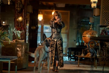 John Wick Chapter 3 How It Trained Two Dogs Into Action Movie Heroes