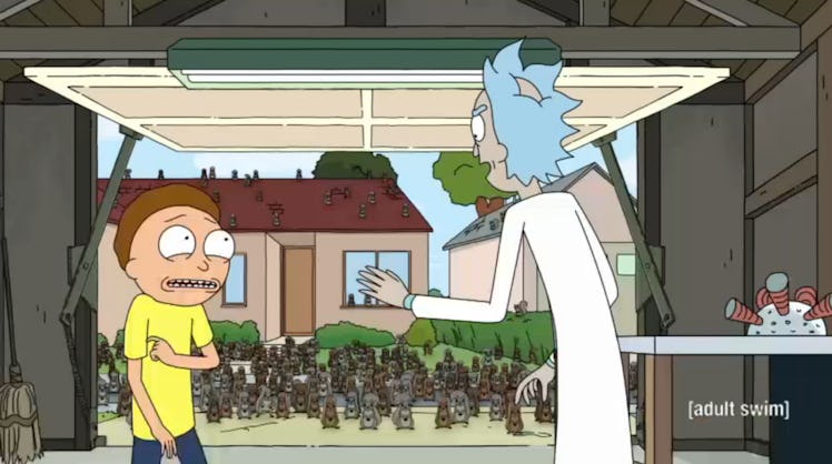 Remember when Morty ruined an entire universe by messing with the squirrels?