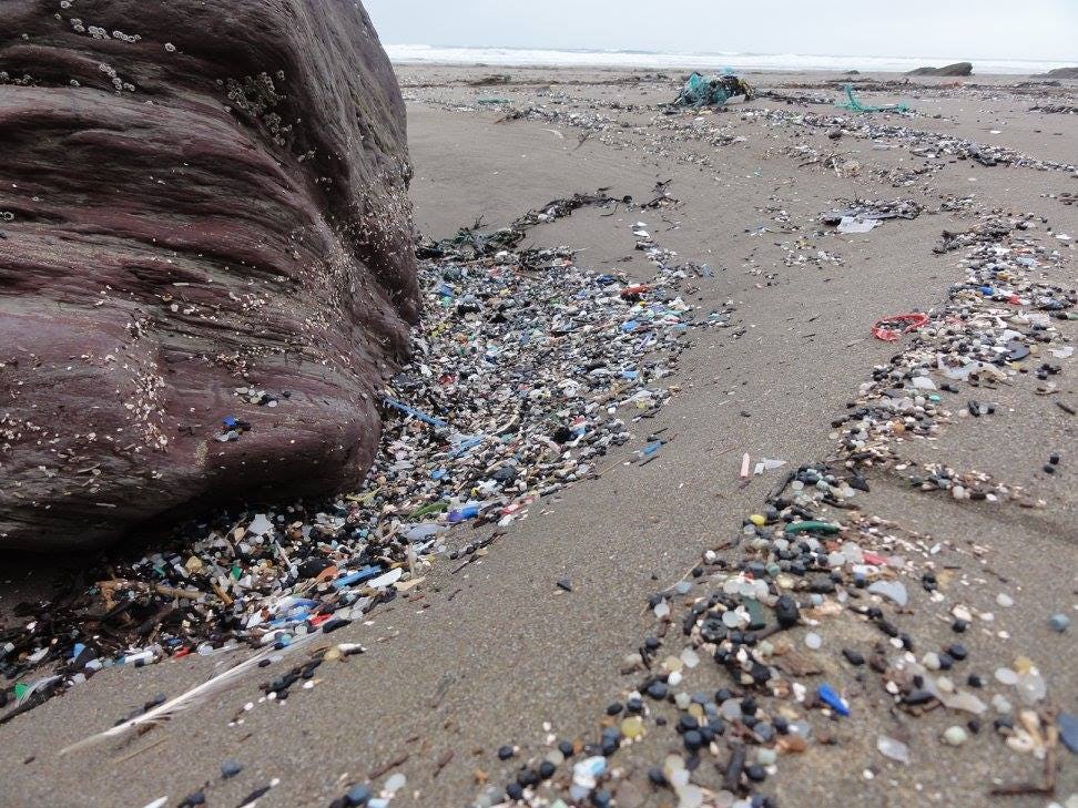 20 Years After the Great Lego Spill, They're Still Washing Ashore