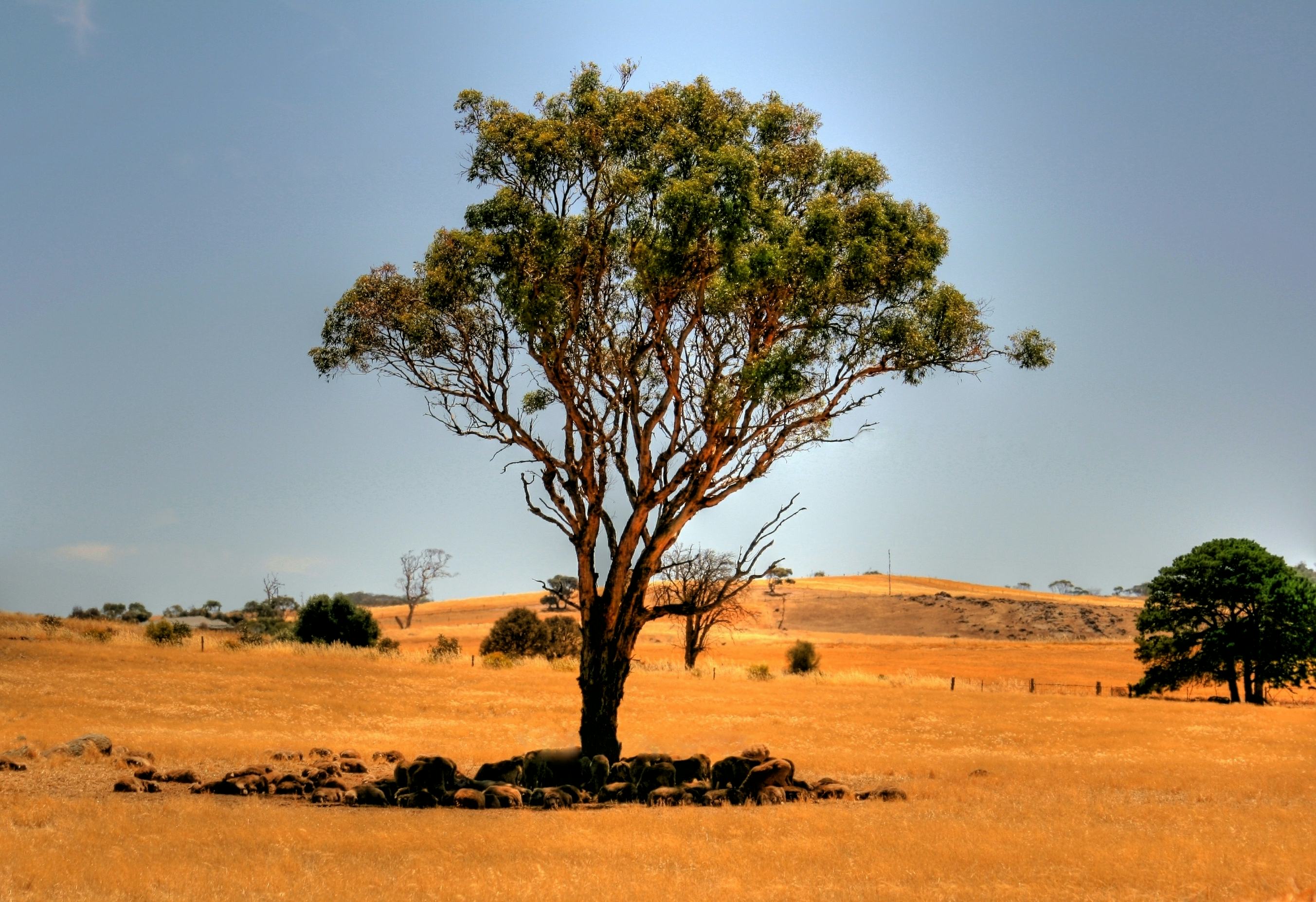 The 15 Greenest Countries in the World