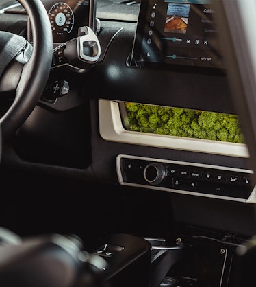 The moss filter on the dashboard.