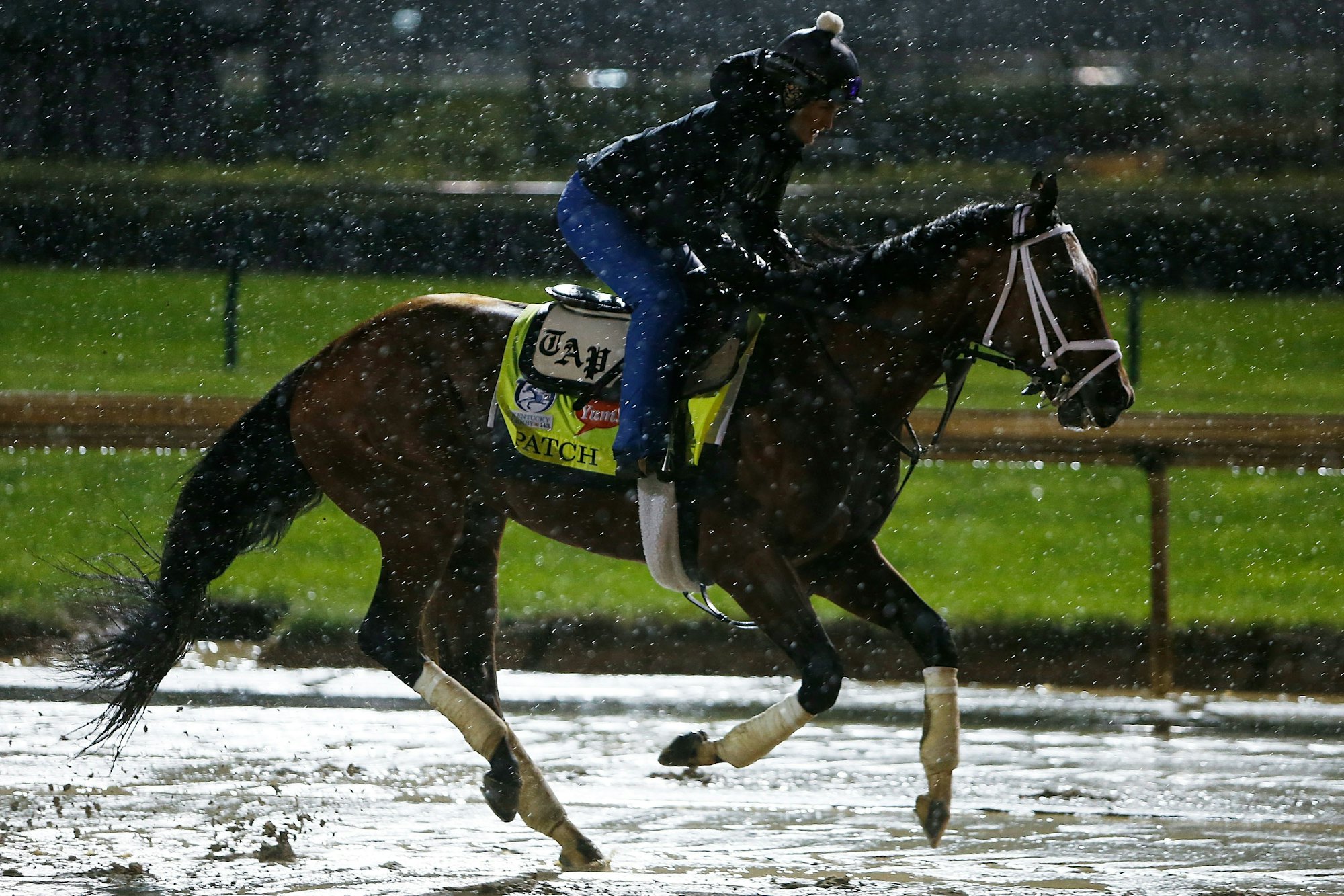 How a OneEyed Horse Named "Patch" Can Race in the Kentucky Derby