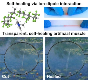 Self-Healing Ionic Conudctor