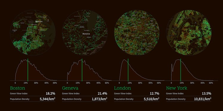 tree coverage comparison Boston Geneva London New York
