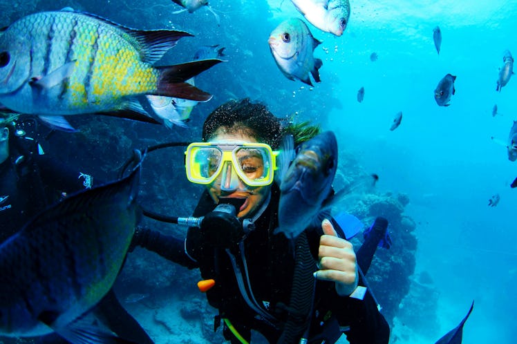 Great Barrier Reef scuba diving