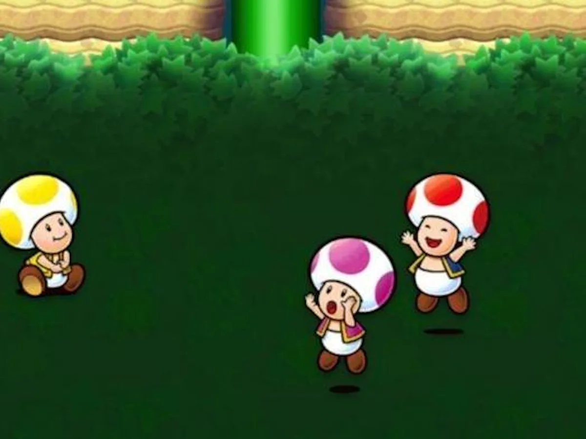 Toad Variations Mario Toads Mario