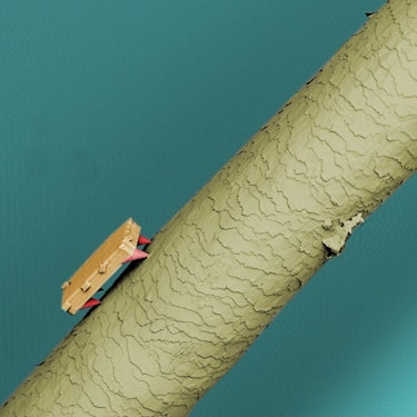 A 60-micron robot sits on a strand of human hair, which on average is 75 microns across.