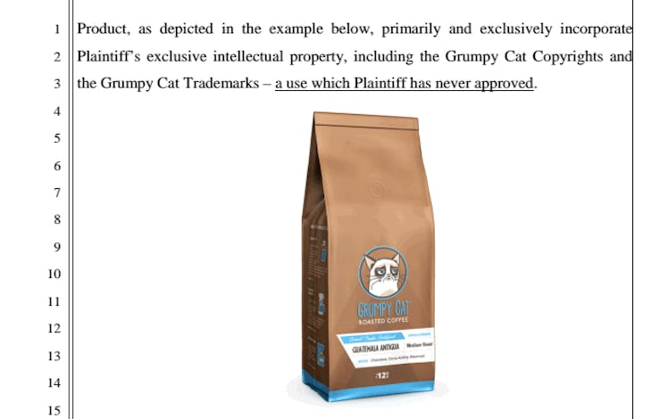 Grumpy Cat Coffee