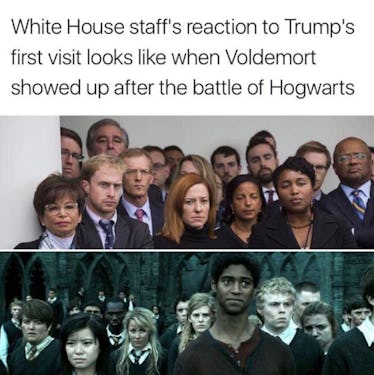 25 of the Most Hilarious 'Harry Potter' Memes