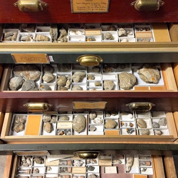Researchers must travel to visit non-digitized specimens in person, not knowing what they will find ...