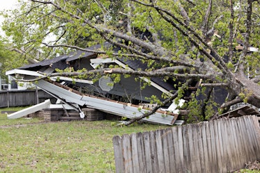 fallen tree on destroyed house next to a fence