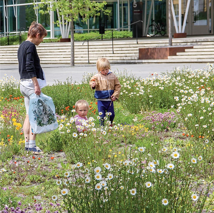 An alternative grass-free (tapestry) lawn boasts native plants in the Ultuna Campus of the Swedish U...