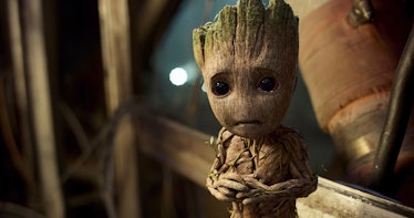 Don't be worried Baby Groot!