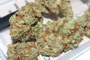marijuana strains 