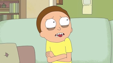 Morty just can't hang with all that "Truth Tortoise shit" stuck in his head.