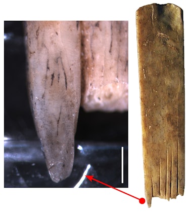 Ink staining on one of the human bone combs