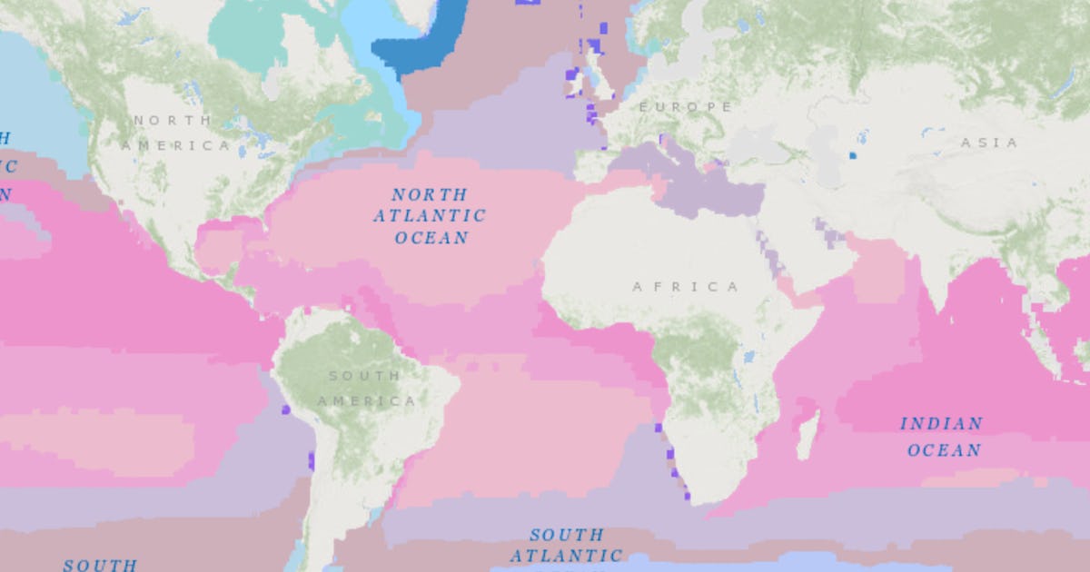 This Highly-Detailed 3D Ocean Map Will Help Save Marine Life