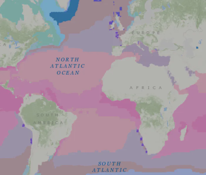This Highly-Detailed 3D Ocean Map Will Help Save Marine Life