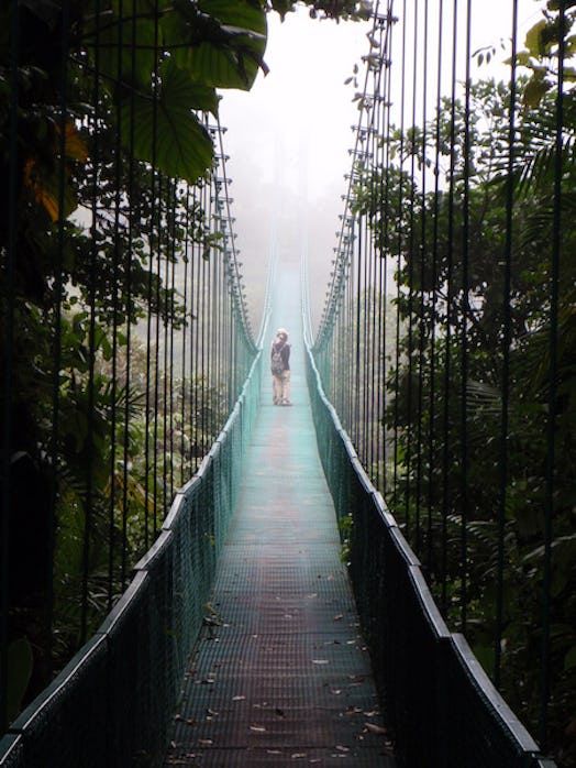 cloud forest, Costa Rica