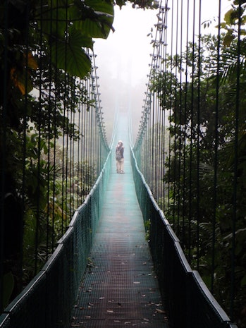 cloud forest, Costa Rica