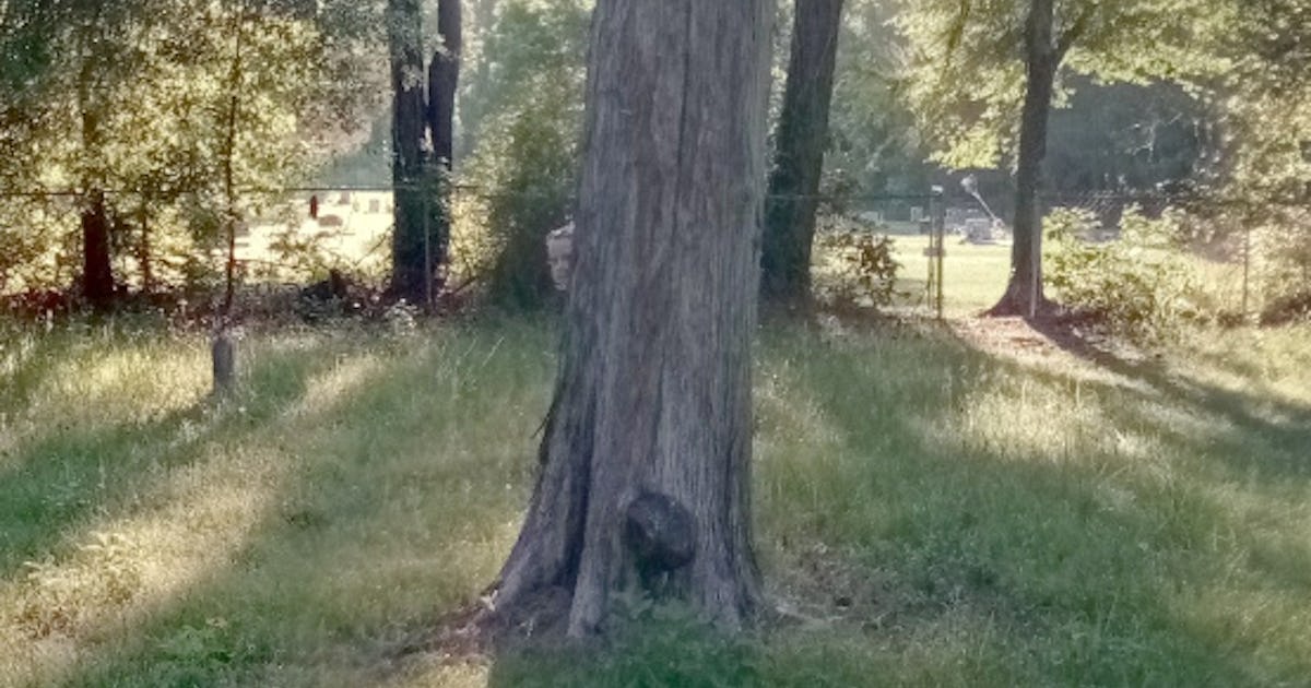 15 google maps images that seem to