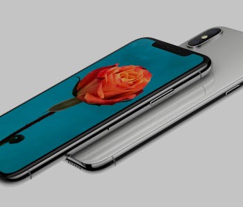 Iphone X Colors Here Are Your Options Iphone X Colors Here Are Your Options