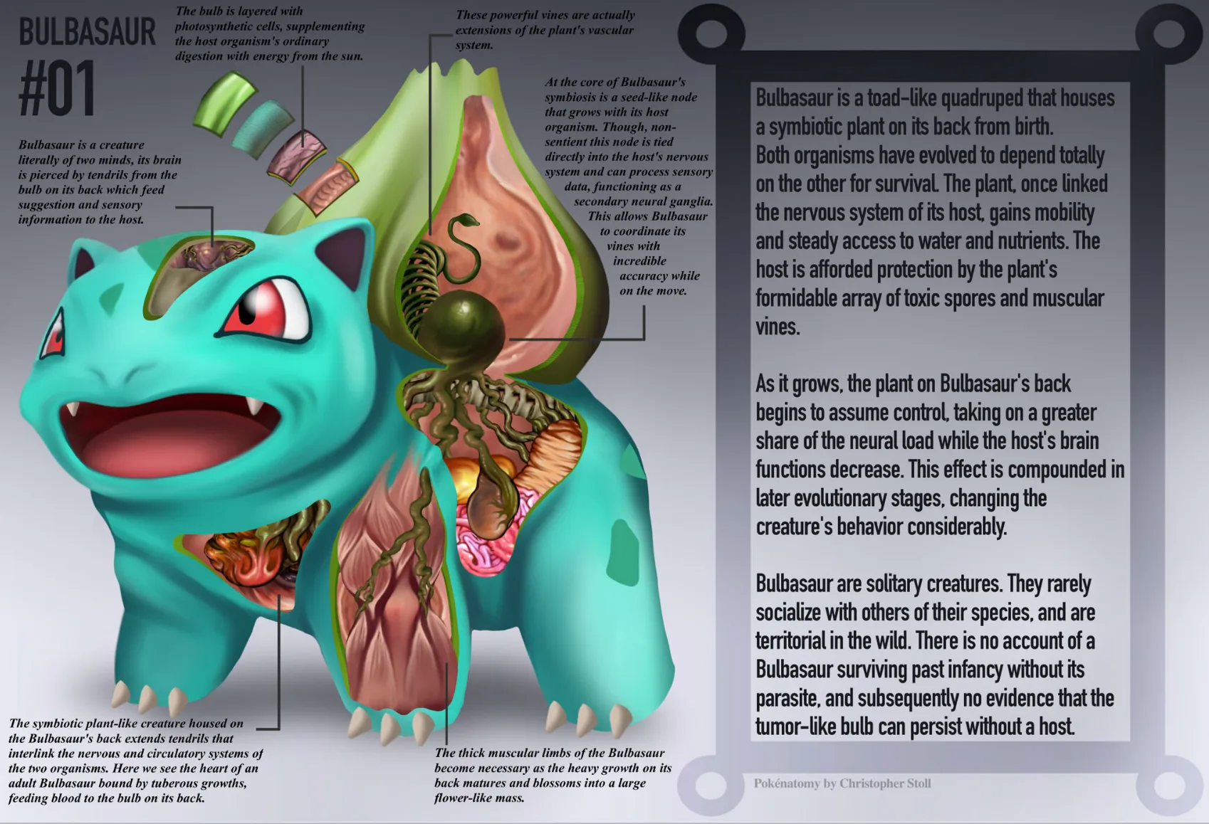 Pokéanatomy Imagines the Innards of Pokémon