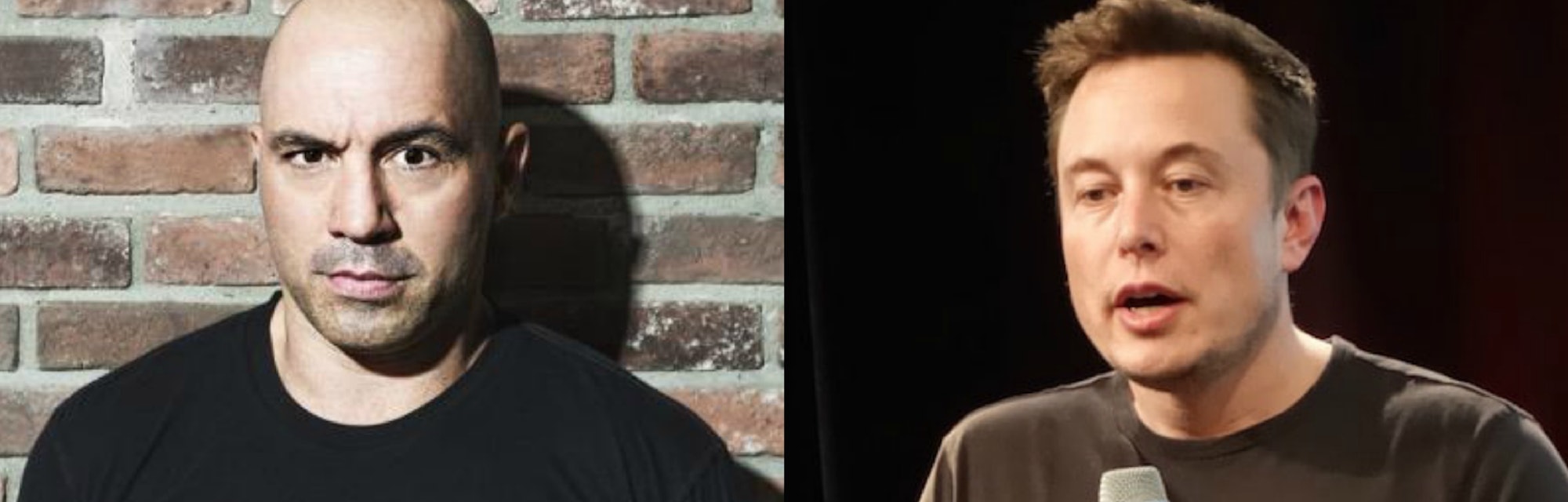 Elon Musk Appeared On Joe Rogan S Podcast How It Happened