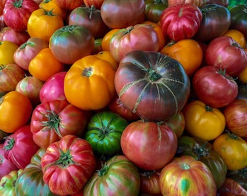 If you want these glorious organic heirlooms to keep their vibrant off-the-vine flavor, keep them ou...