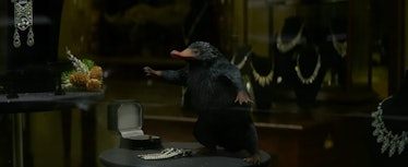 A Niffler in 'Fantastic Beasts and Where to Find Them'