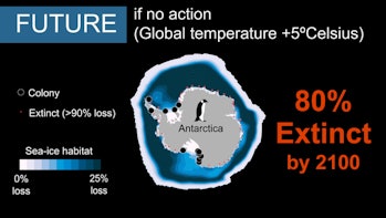 global carbon dioxide emissions Emperor Penguin colonies