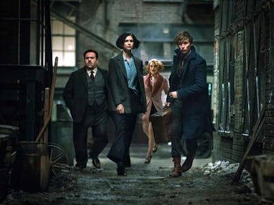 Newt Scamander, Jacob Kowalski, Tina Goldenstein, and Queenie Goldenstein in 'Fantastic Beasts'