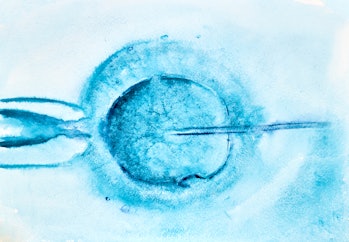 IVF, designer babies, embryo selection 