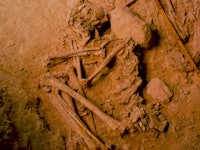 The remains of bones found in the iberian peninsula