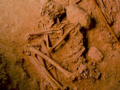 The remains of bones found in the iberian peninsula