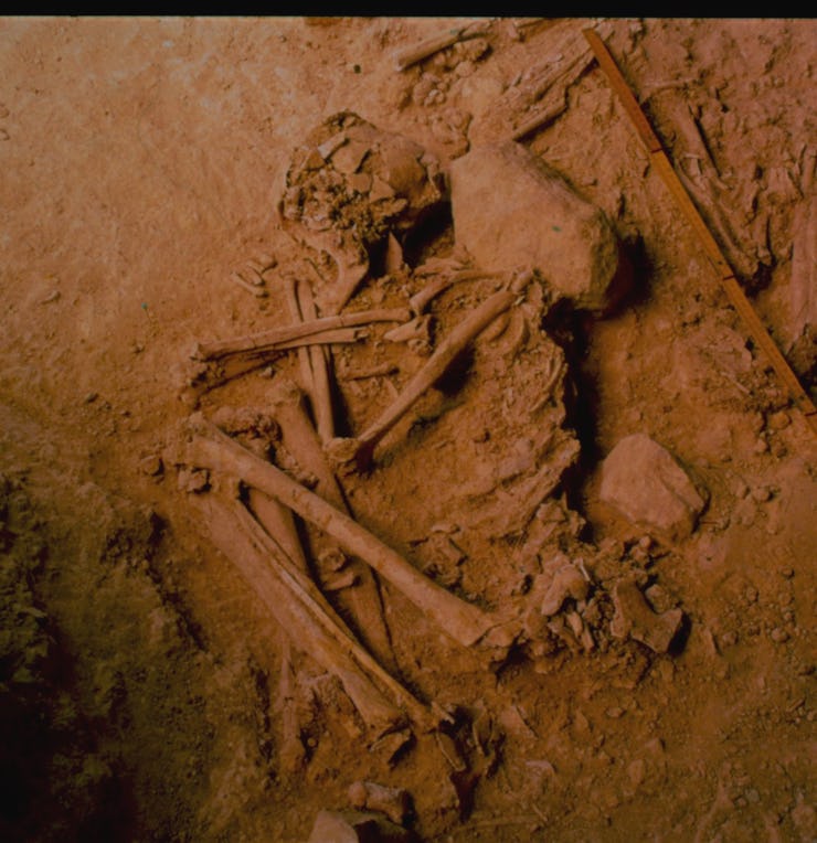 The remains of bones found in the iberian peninsula