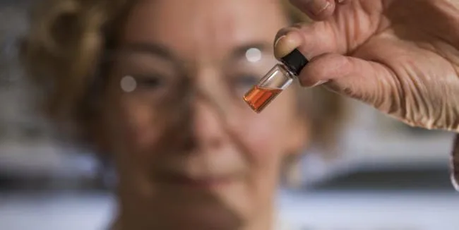 Earth's Oldest Biological Color Is Bright Pink, Scientists Discover