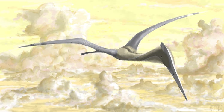 Quetzalcoatlus azhdarchid pterosaur flying