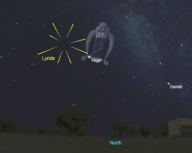 Across Australia, the Lyrids are best seen in the hour before sunrise, when the radiant is at its hi...