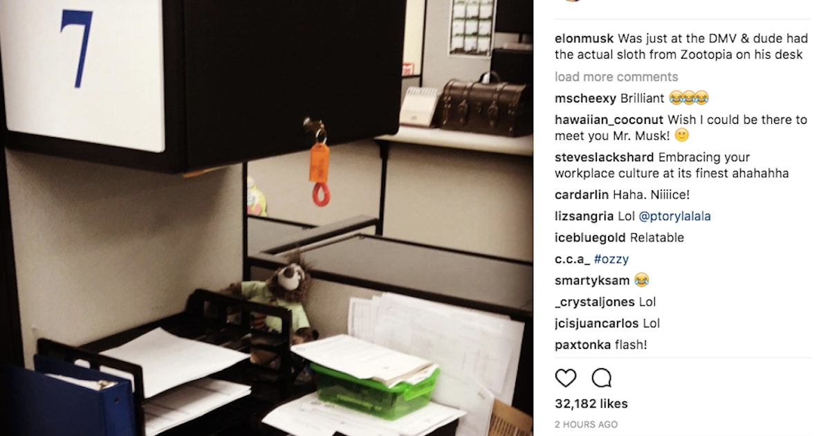 What was elon musk doing at the dmv? What Was Elon Musk Doing at the DMV?