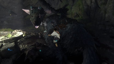 The Last Guardian: How to Control Trico