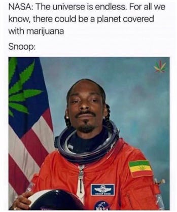 24 Happy 420 Memes And Gifs For Those Observing National Weed Day 24 Happy 420 Memes And Gifs For Those Observing National Weed Day