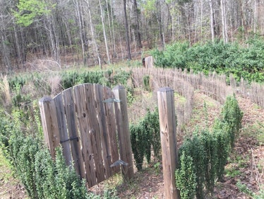 Internet users have been searching for a way to save John B. McLemore's hedge maze from the S-Town p...