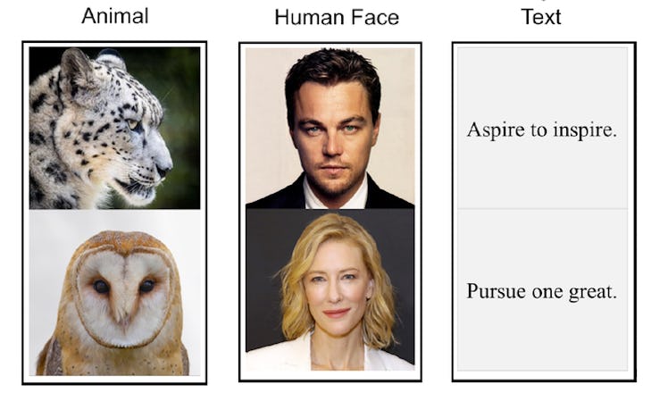 chart of visual stimuli for brain passwords