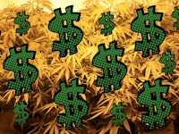 Illustrated pop art dollar signs on a background of marijuana plants