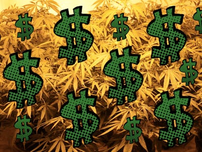 Illustrated pop art dollar signs on a background of marijuana plants