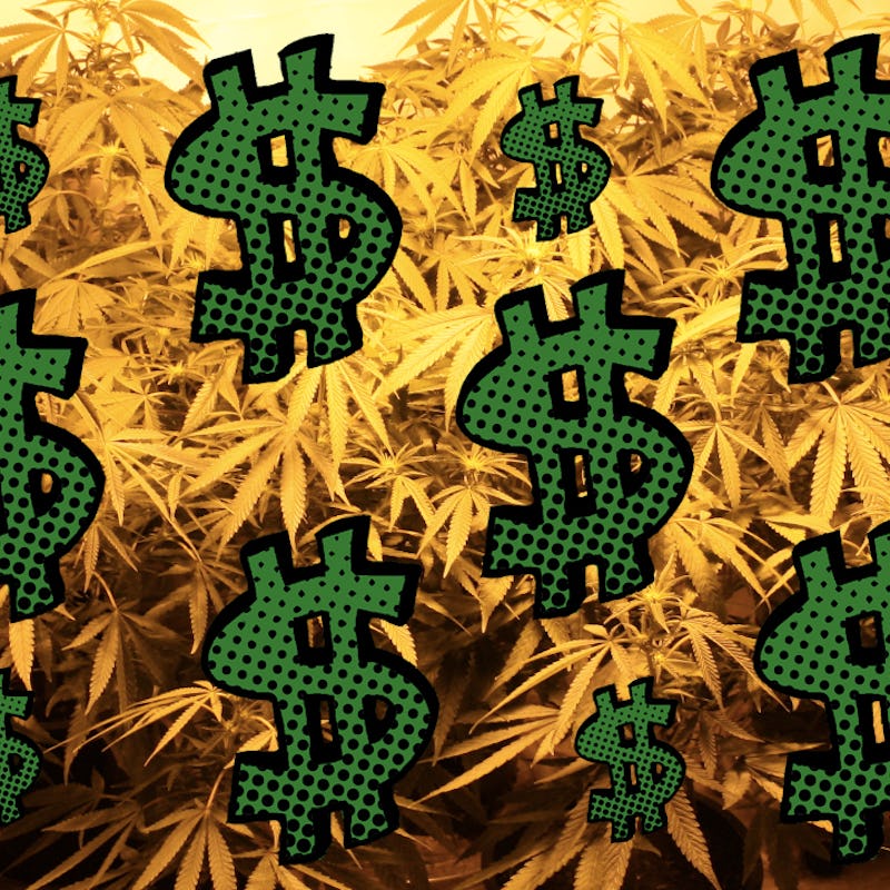 Illustrated pop art dollar signs on a background of marijuana plants