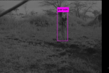 intel ai camera poacher detected
