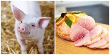 piglet and ham