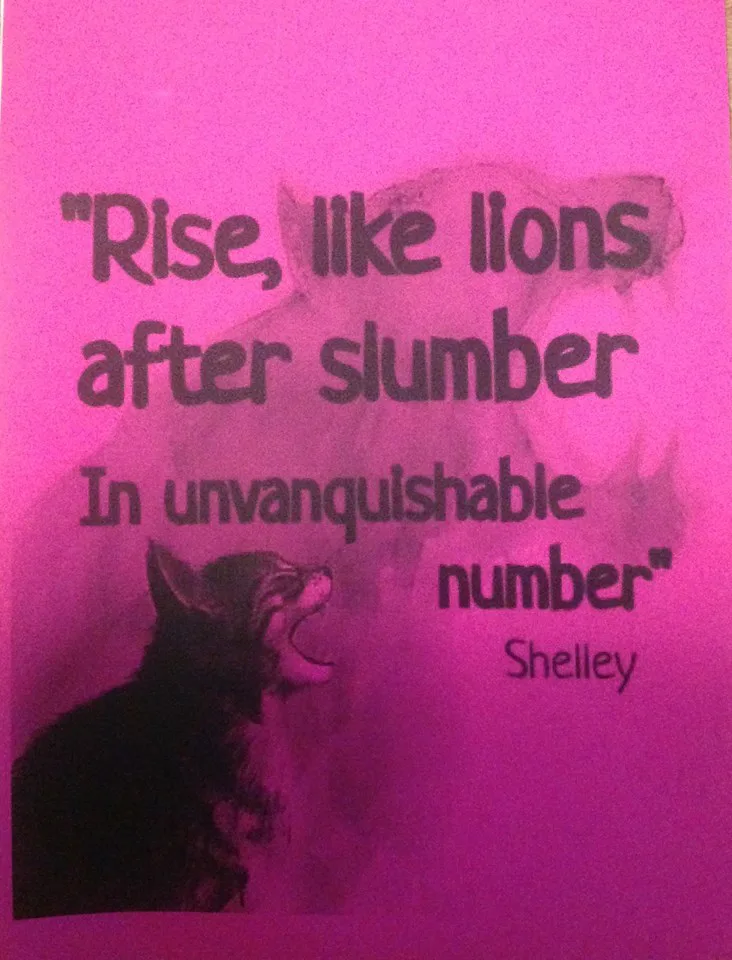 25 Women's March Sign Ideas That Focus on the Future